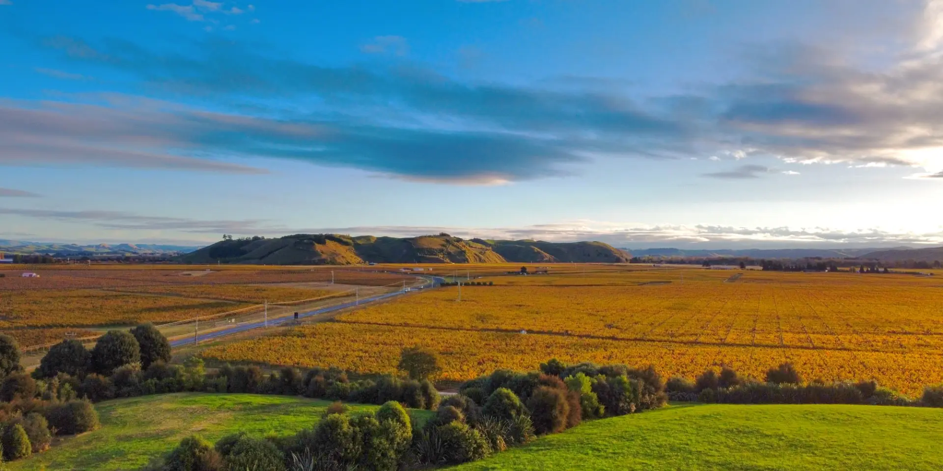 Gimblett Gravels Wineries