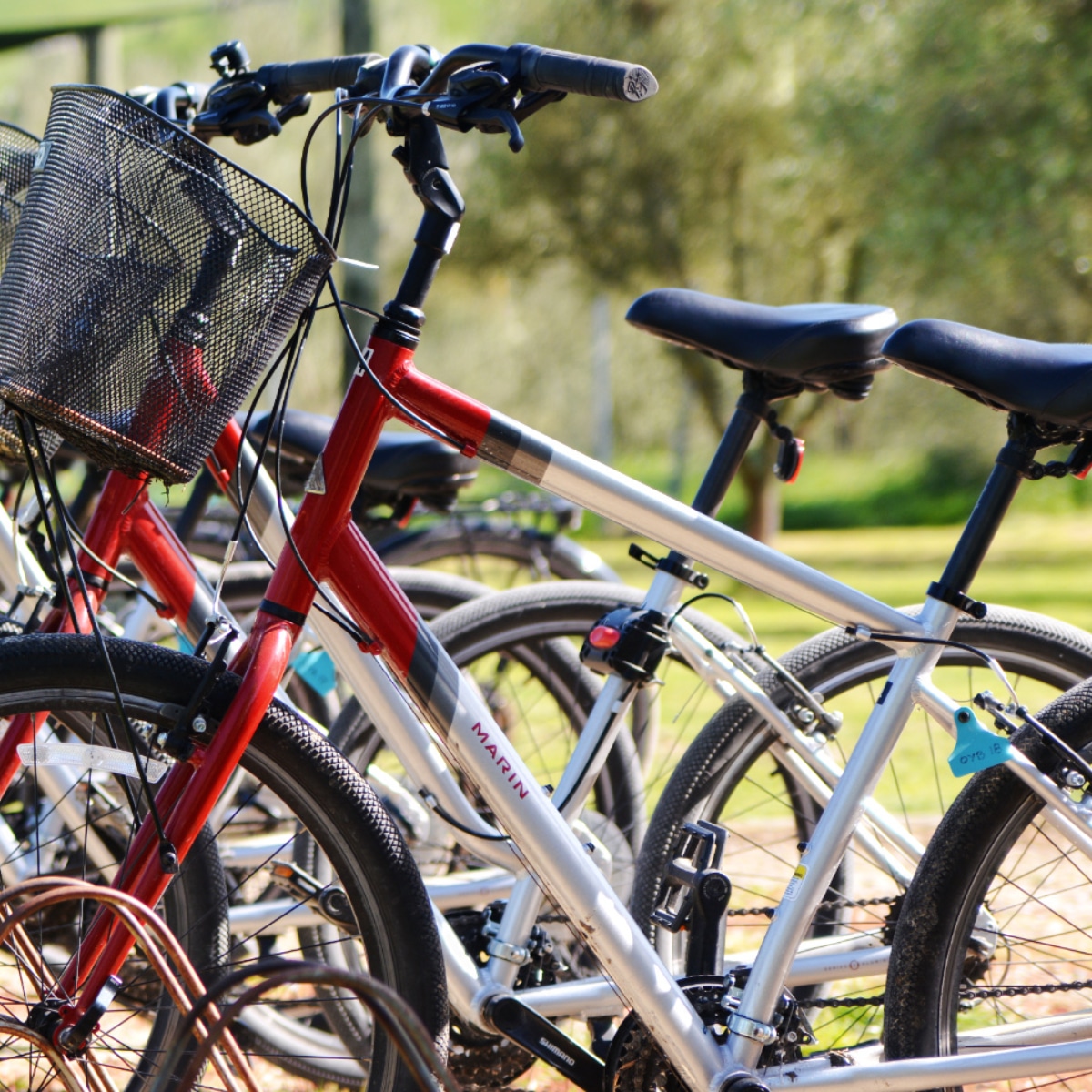 Winery Treasure Hunt | The Winemaker’s Lost Journal 2 On Yer Bike Marin Cruiser Bikes