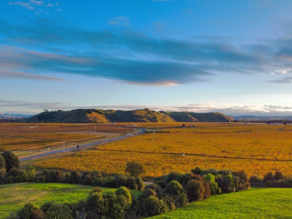 Gimblett Gravels wineries