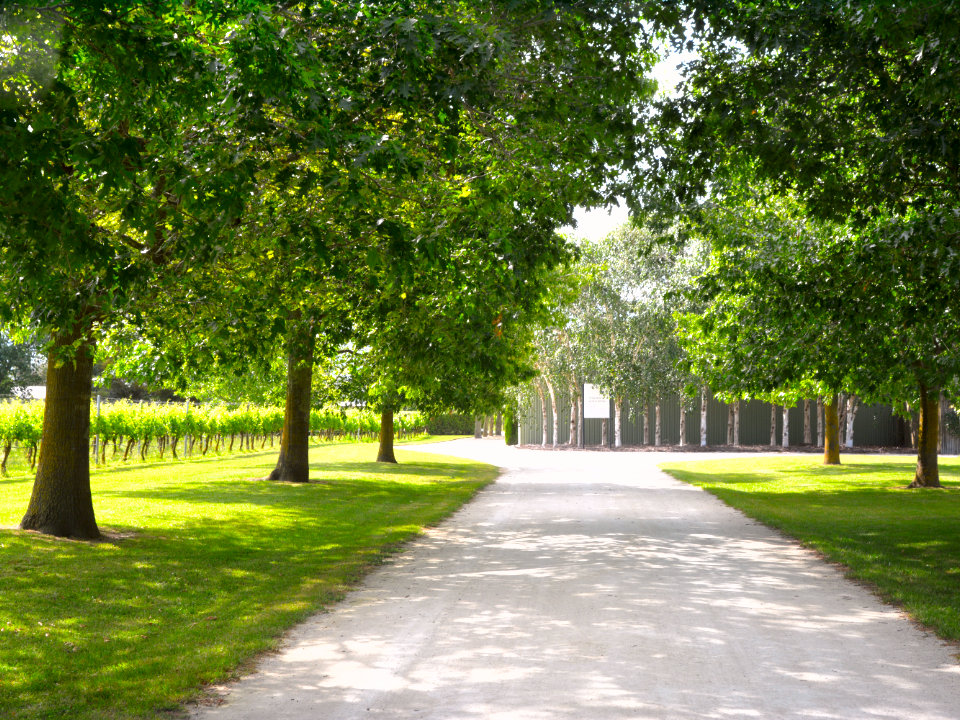 Alpha Domus Winery