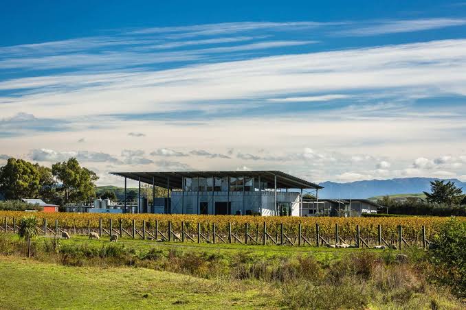 Paritua Winery