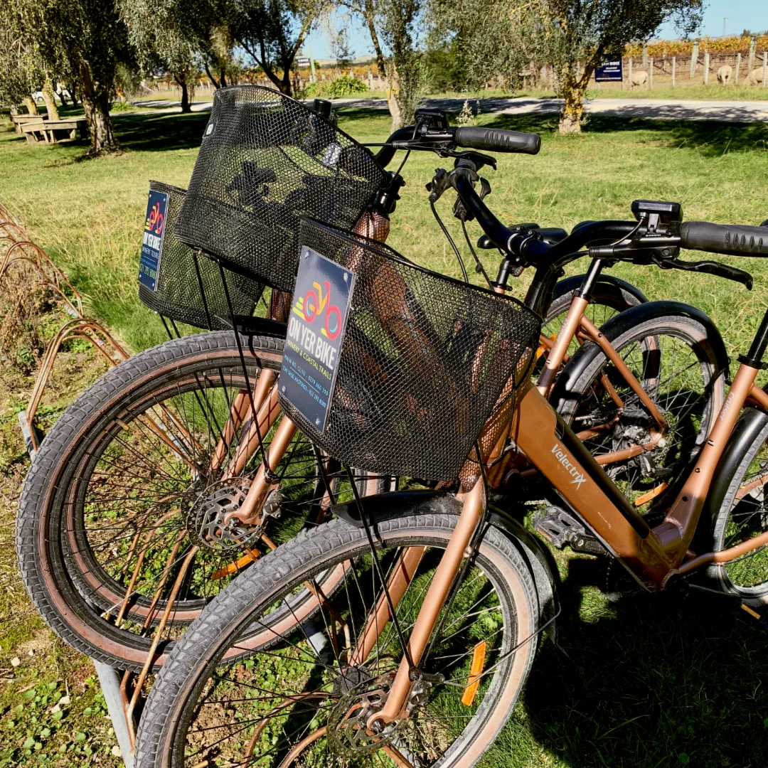 square_ebikes